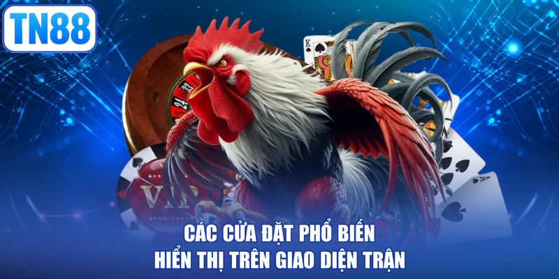 Các cửa đặt phổ biến hiển thị trên giao diện trận