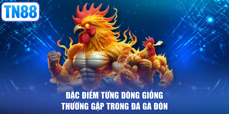Đặc điểm từng dòng giống thường gặp trong đá gà đòn