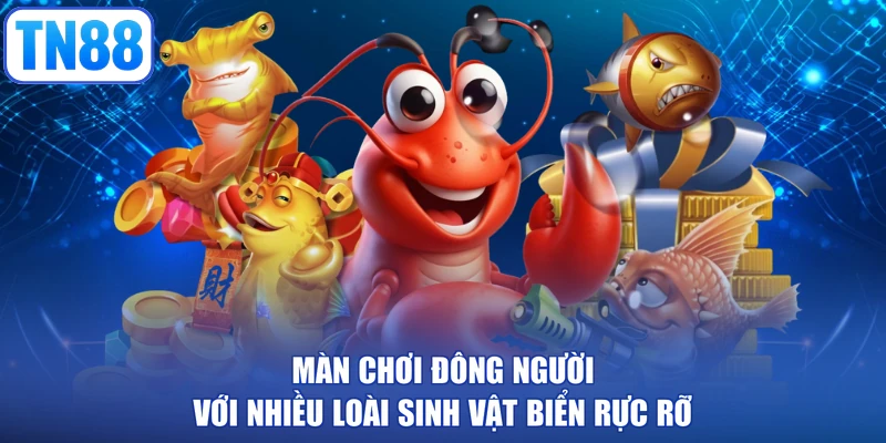 Màn chơi đông người với nhiều loài sinh vật biển rực rỡ