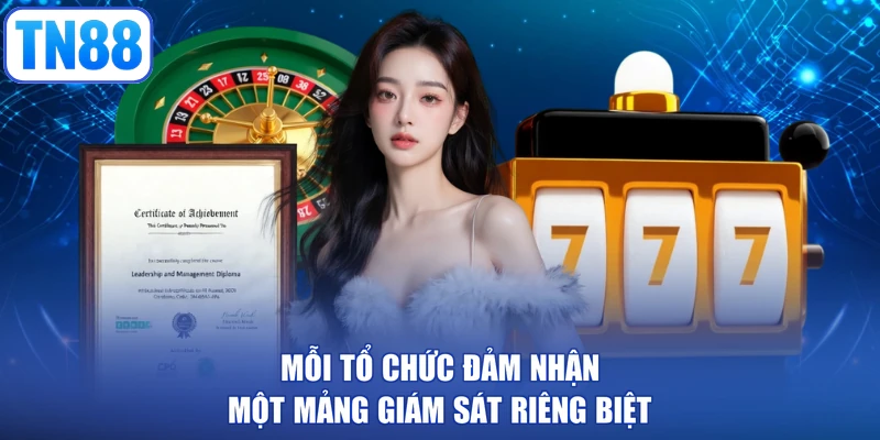 Mỗi tổ chức đảm nhận một mảng giám sát riêng biệt