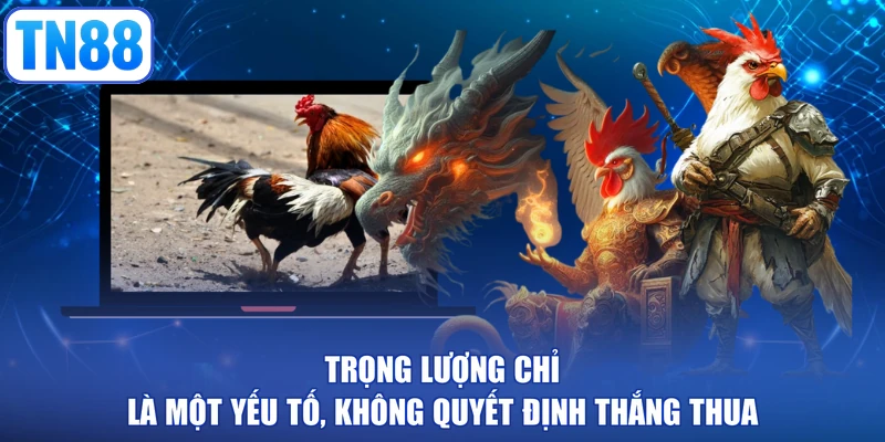 Trọng lượng chỉ là một yếu tố, không quyết định thắng thua